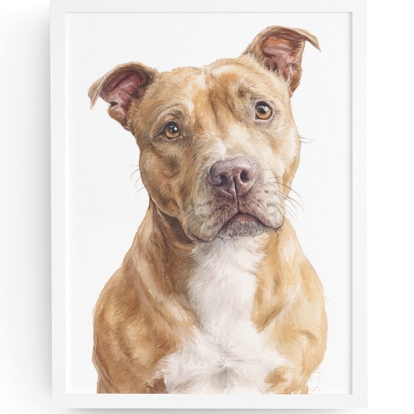 Creative Path Studios Other - American Fawn Pit Bull Terrier Watercolor Wall Art Print Poster - Unframed